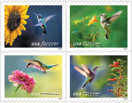 100 Pcs Garden Delights 2024 - 5 Booklets